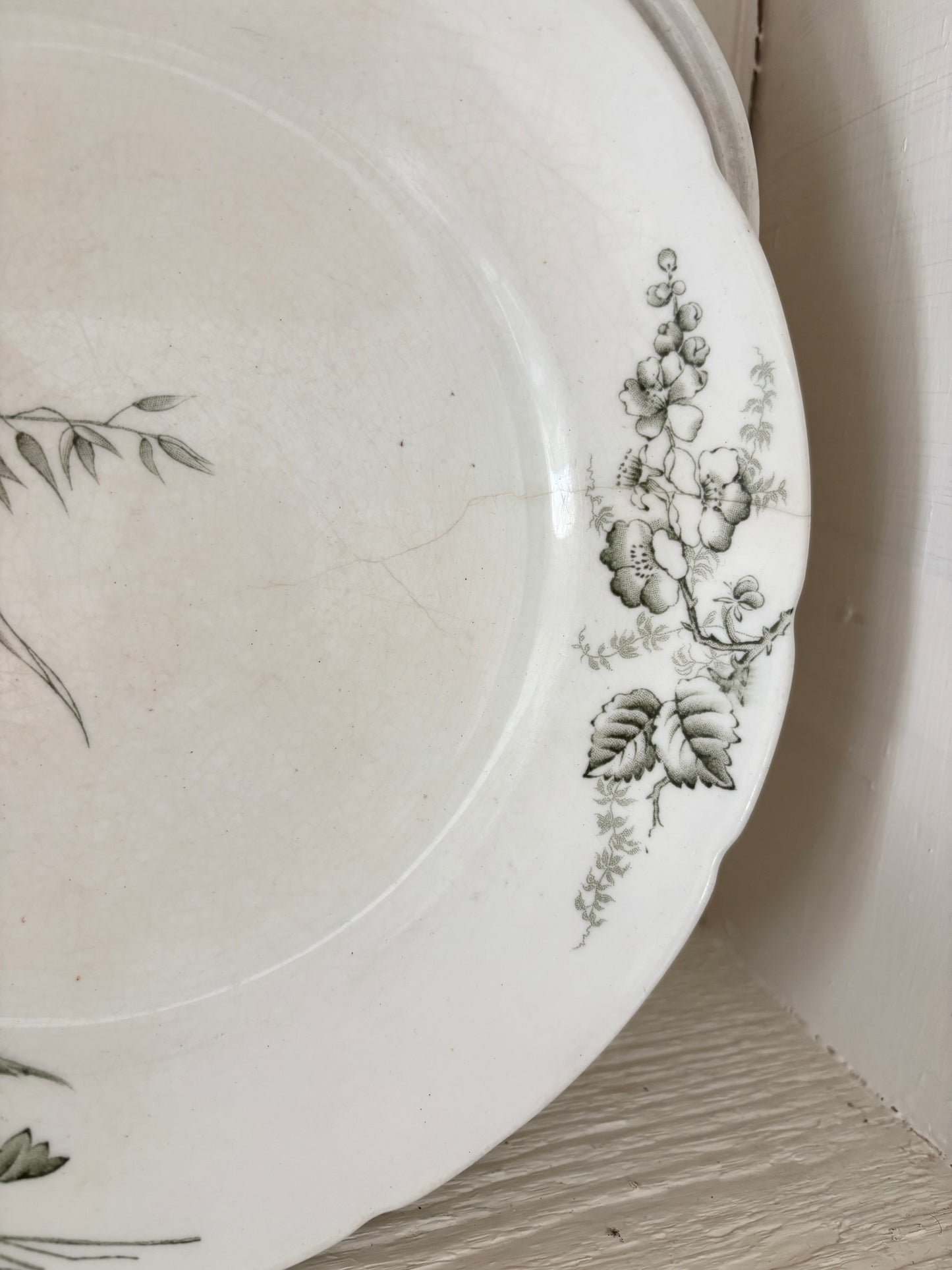 John Edwards Green Transferware Ironstone Plate