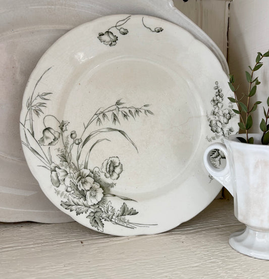John Edwards Green Transferware Ironstone Plate